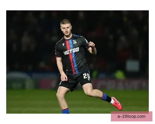 亚当·沃顿凭借水晶宫英超半赛季卓越表现压哨入选英格兰欧洲杯大名单